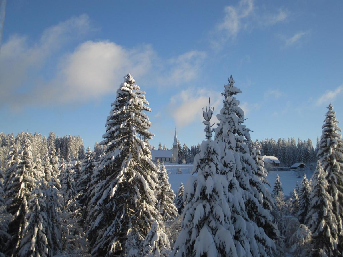 Appartamento Haus Steininger Schluchsee Esterno foto