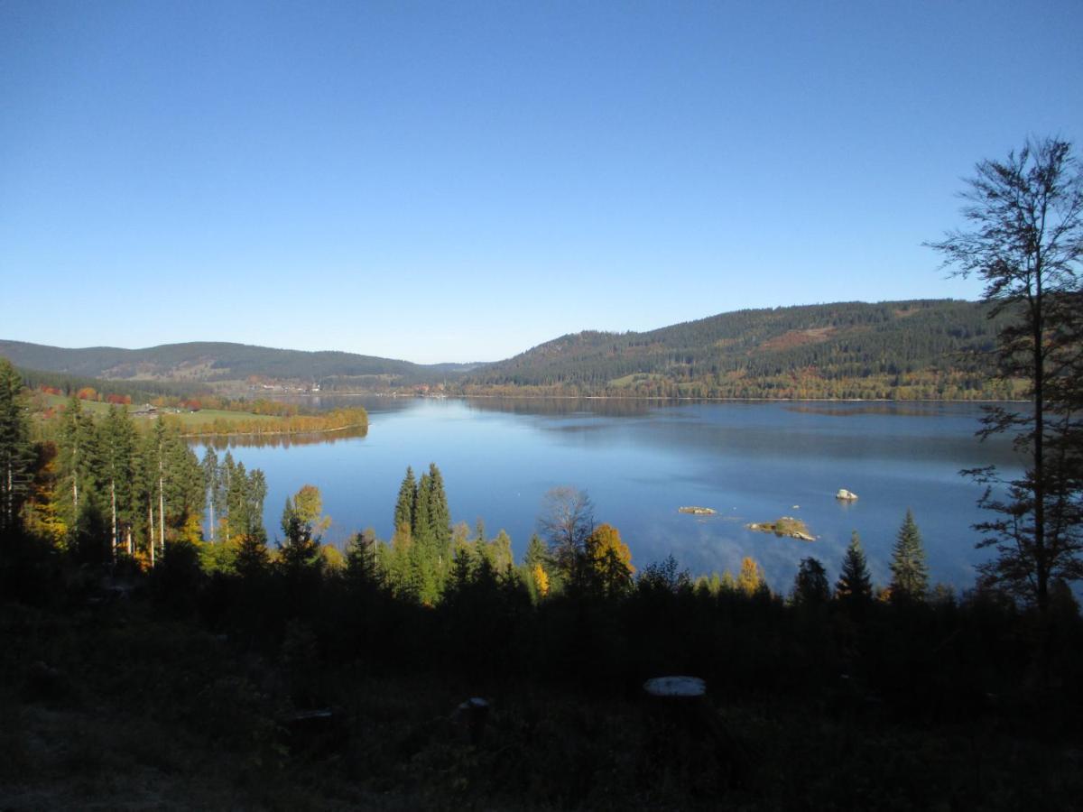 Appartamento Haus Steininger Schluchsee Esterno foto